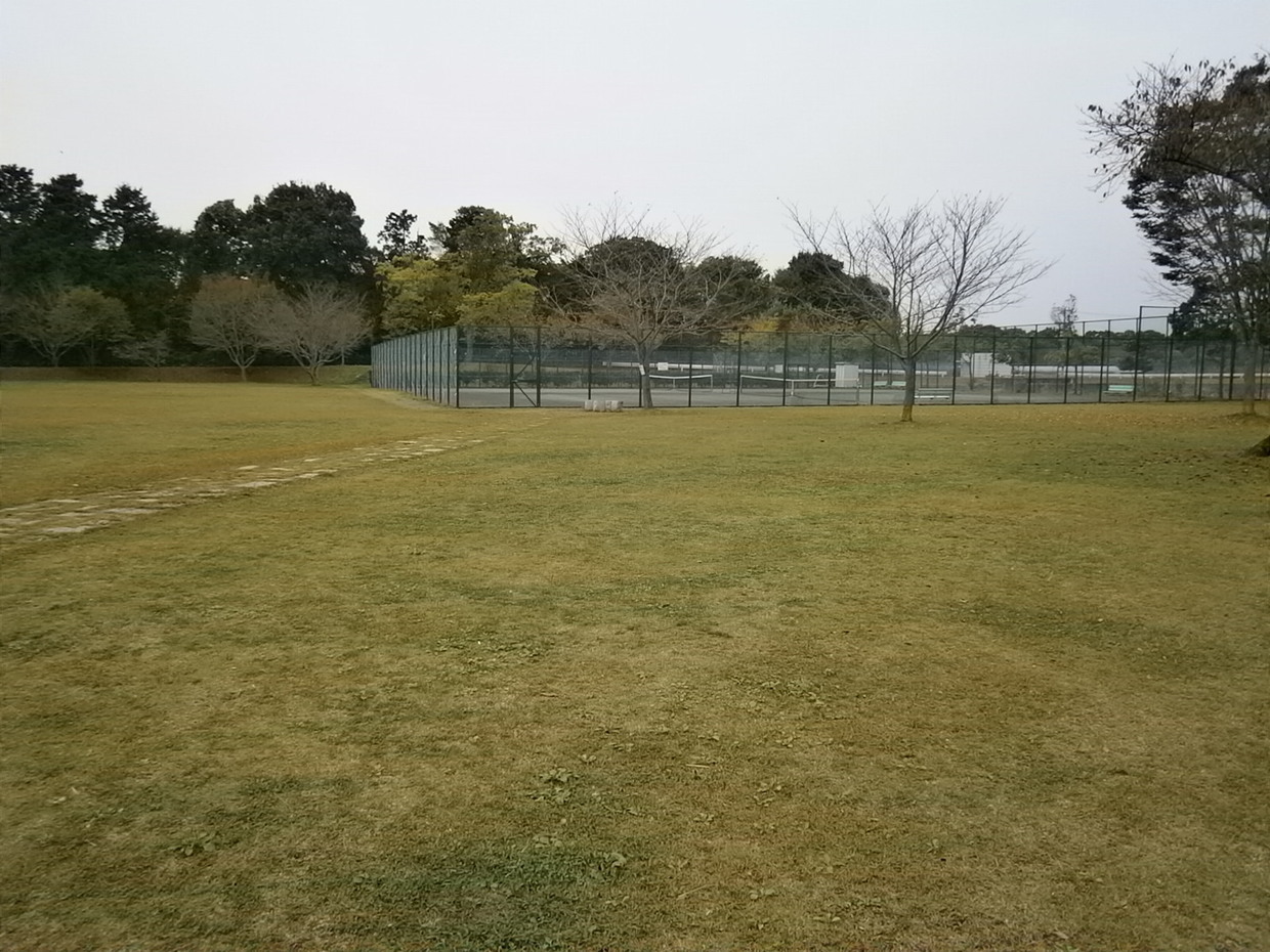 230_さくら公園.JPG